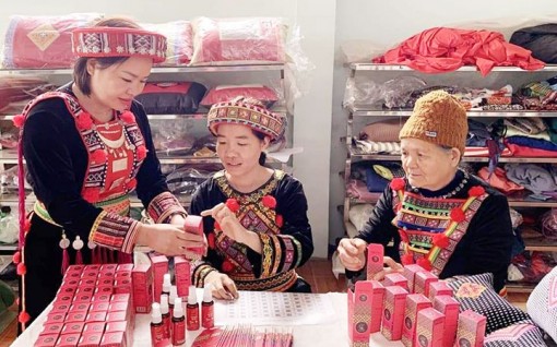 Nông sản miền núi lên sàn thương mại điện tử