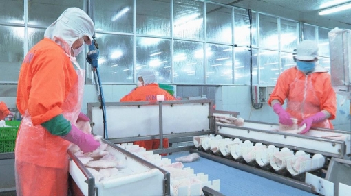 Đẩy mạnh tiêm vaccine cho người lao động