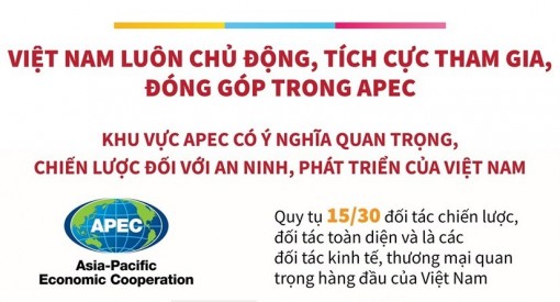 Việt Nam luôn chủ động, tích cực tham gia, đóng góp trong APEC