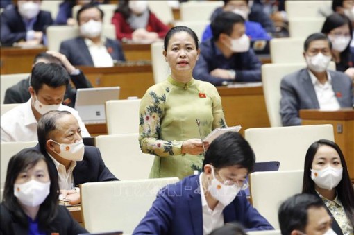 Không để có quá nhiều phương án xét tuyển trong một cơ sở giáo dục đại học