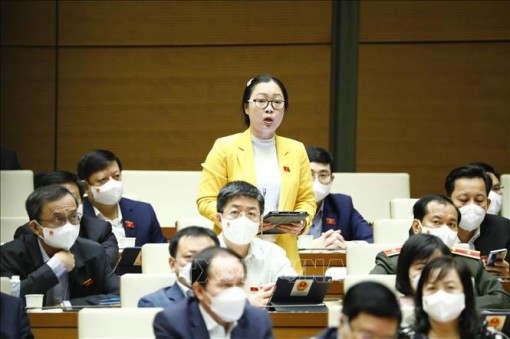 Cử tri Ninh Bình mong được quan tâm nhiều hơn đến an sinh xã hội