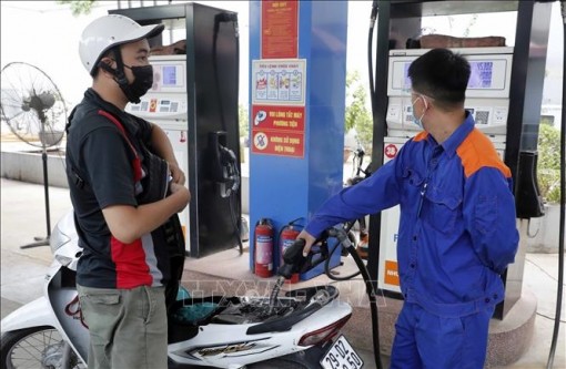 Giá xăng dầu hôm nay (14-11) trầm lắng phiên cuối tuần, báo hiệu một tương lai đi xuống