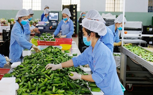 Đẩy mạnh xuất khẩu hàng nông sản chủ lực