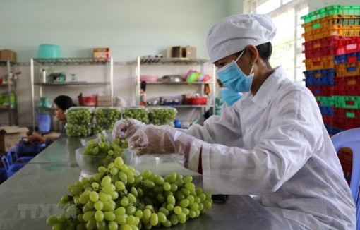 Nhập cuộc thương mại xuyên biên giới cùng sản phẩm lợi thế