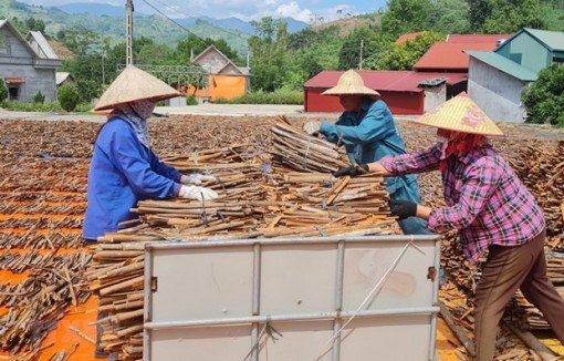 Nhận thức rõ thị trường để đáp ứng đúng yêu cầu về an toàn thực phẩm