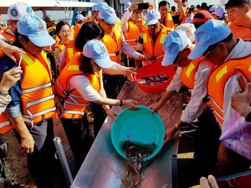 Nỗ lực phục hồi ngành thủy sản
