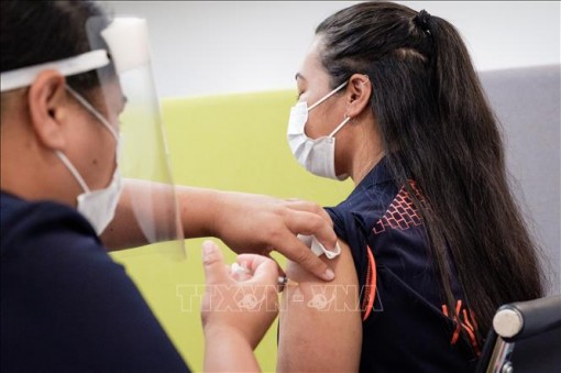 New Zealand cấp chứng nhận thông hành vaccine