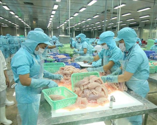 Sắp diễn ra diễn đàn trực tuyến thúc đẩy thương mại nông, thủy sản Việt Nam - Nga