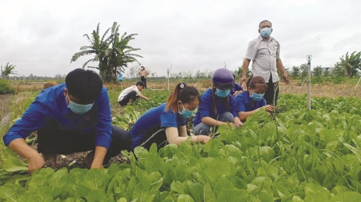 Tuổi trẻ Chợ Mới tích cực phòng, chống dịch COVID-19, vì sức khỏe cộng đồng