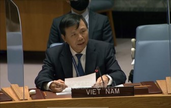 Việt Nam khẳng định các nước có trách nhiệm kiểm soát vũ khí bất hợp pháp
