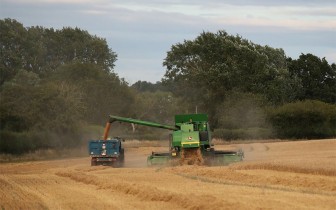 Lúa mì bứt phá, dẫn dắt đà tăng nhóm nông sản