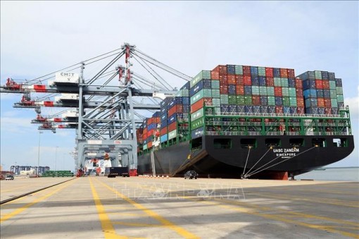 Bộ Giao thông Vận tải đề nghị gỡ quy định cách ly y tế 2 lần đối với thuyền viên