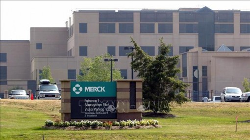 EU sẽ sớm phê duyệt việc sử dụng thuốc điều trị COVID-19 của Merck