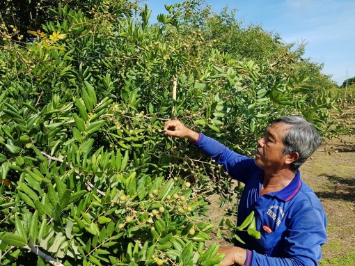 An Giang hỗ trợ kết nối, tiêu thụ sản phẩm nông nghiệp