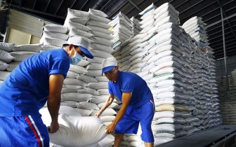 Xuất khẩu gạo đón “làn sóng” phục hồi