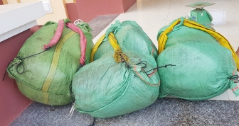 Bộ đội Biên phòng An Giang bắt vụ vận chuyển 35kg cần sa khô