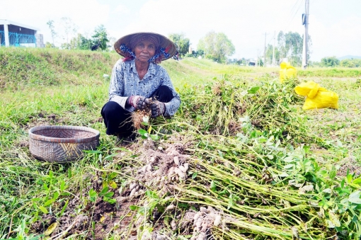 Định hướng phát triển kinh tế- xã hội vùng đồng bào dân tộc thiểu số An Giang
