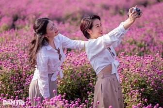 Lạc vào cánh đồng hoa tím lịm như trời Âu ở Hà Nội
