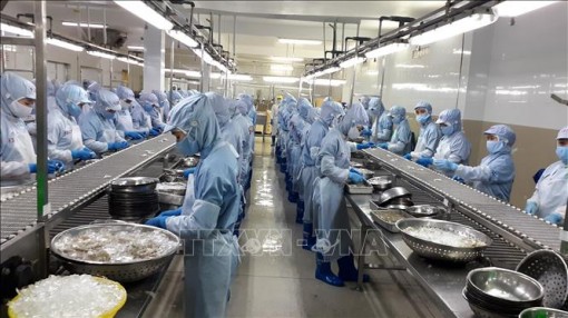 Cán cân thương mại đảo chiều, xuất siêu 225 triệu USD trong 11 tháng