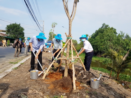 Nỗ lực phủ xanh đời sống