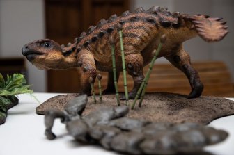 Chile phát hiện hóa thạch của loài khủng long bọc giáp mới