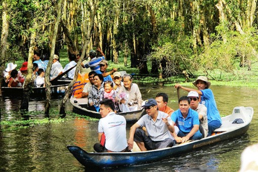 Rừng tràm Trà Sư - một chuyến du hành