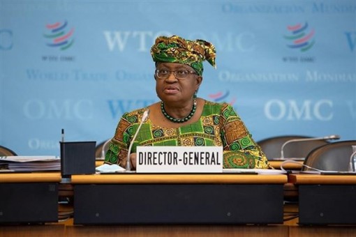 Gần 70 thành viên WTO đạt thỏa thuận thúc đẩy thương mại dịch vụ