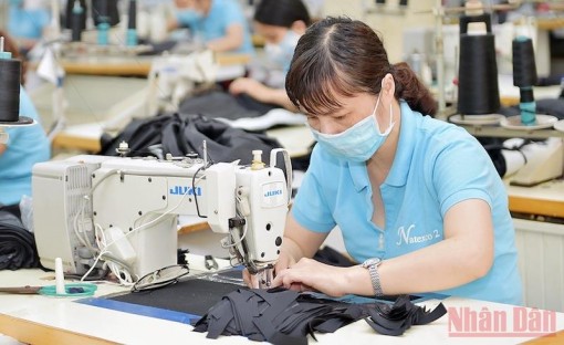 Thị trường lao động thích ứng tình hình mới