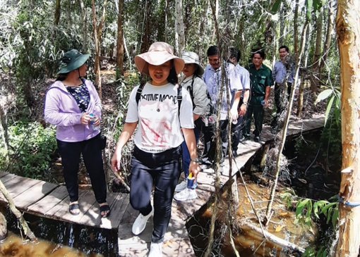 Phát triển du lịch sinh thái, nghỉ dưỡng, giải trí rừng tràm Tân Tuyến