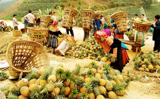 Chủ động, sáng tạo thực hiện “mục tiêu kép”