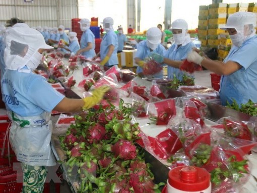 Doanh nghiệp Việt Nam tìm hiểu cơ hội phát triển sản phẩm tại Nam Phi