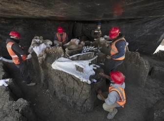 Phát hiện hóa thạch voi ma mút khổng lồ 10.000 năm tuổi tại Mexico