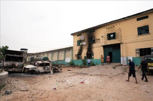 Nigeria giải cứu hàng chục cảnh sát bị bắt cóc ở vùng Đông Bắc