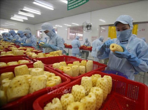 Việt Nam - Hàn Quốc hướng tới kim ngạch thương mại 100 tỷ USD