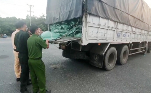 An Giang: Bắt 2 xe tải vận chuyển 42 tấn hạt cà phê không rõ nguồn gốc