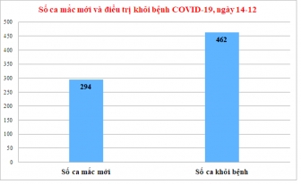 Ngày 14-12: An Giang ghi nhận 294 ca mắc mới, điều trị khỏi bệnh 462 ca COVID-19