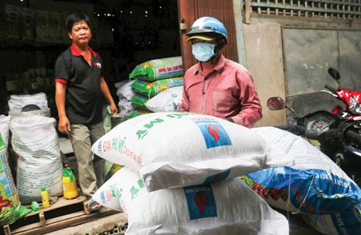 Cần Thơ: Giá nhiều loại phân bón chững lại, Urê giảm