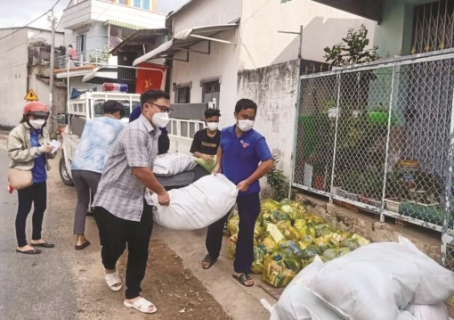 Tình nguyện tham gia chống dịch