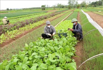 Xây dựng đối tác xanh cho nền nông nghiệp mới