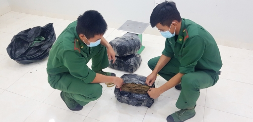 Bộ đội Biên phòng An Giang liên tiếp bắt 2 vụ vận chuyển 40kg cần sa