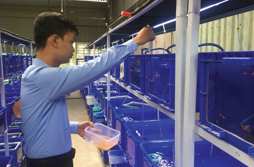 Đồng hành cùng thanh niên khởi nghiệp