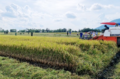 Tri Tôn phát huy lợi thế nông nghiệp ở địa phương miền núi