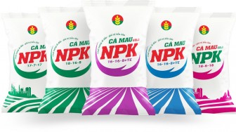 Phân bón Cà Mau tối ưu bộ sản phẩm NPK một hạt giúp kiến tạo giá trị bền vững cho nông sản Việt