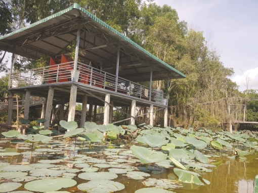 Du lịch “không chạm” - hướng mở cho ngành du lịch
