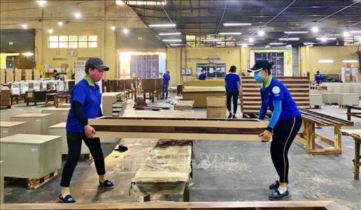 Ngành gỗ xuất siêu 12,6 tỷ USD trong năm 2021