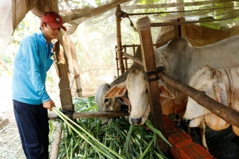 Hội Nông dân huyện An Phú chăm lo đời sống hội viên, nông dân