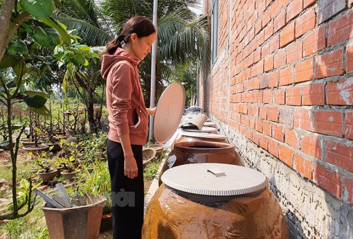 Bến Tre: Ứng dụng đồng bộ các biện pháp phòng chống hạn mặn