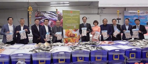 Triển lãm thúc đẩy xuất khẩu cá tra, cá basa Việt Nam tại Australia