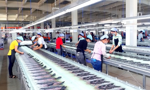 Định hướng phát triển hạ tầng, thương mại và dịch vụ ở huyện Thoại Sơn