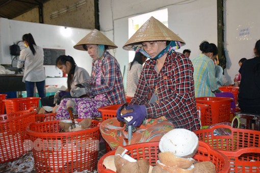Bến Tre: Ngành ngân hàng góp phần phát triển kinh tế tập thể